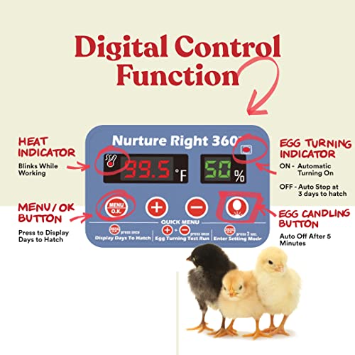 2026 Harris Farms Nurture Right Egg Incubator for Hatching Chicks - Holds 22 Eggs