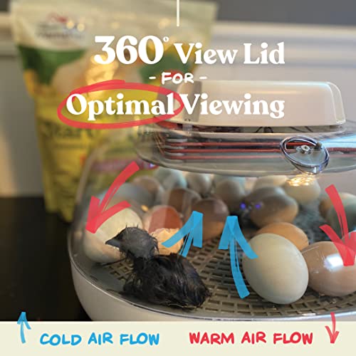 2026 Harris Farms Nurture Right Egg Incubator for Hatching Chicks - Holds 22 Eggs